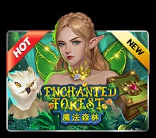 enchantedforestgw slotxo
